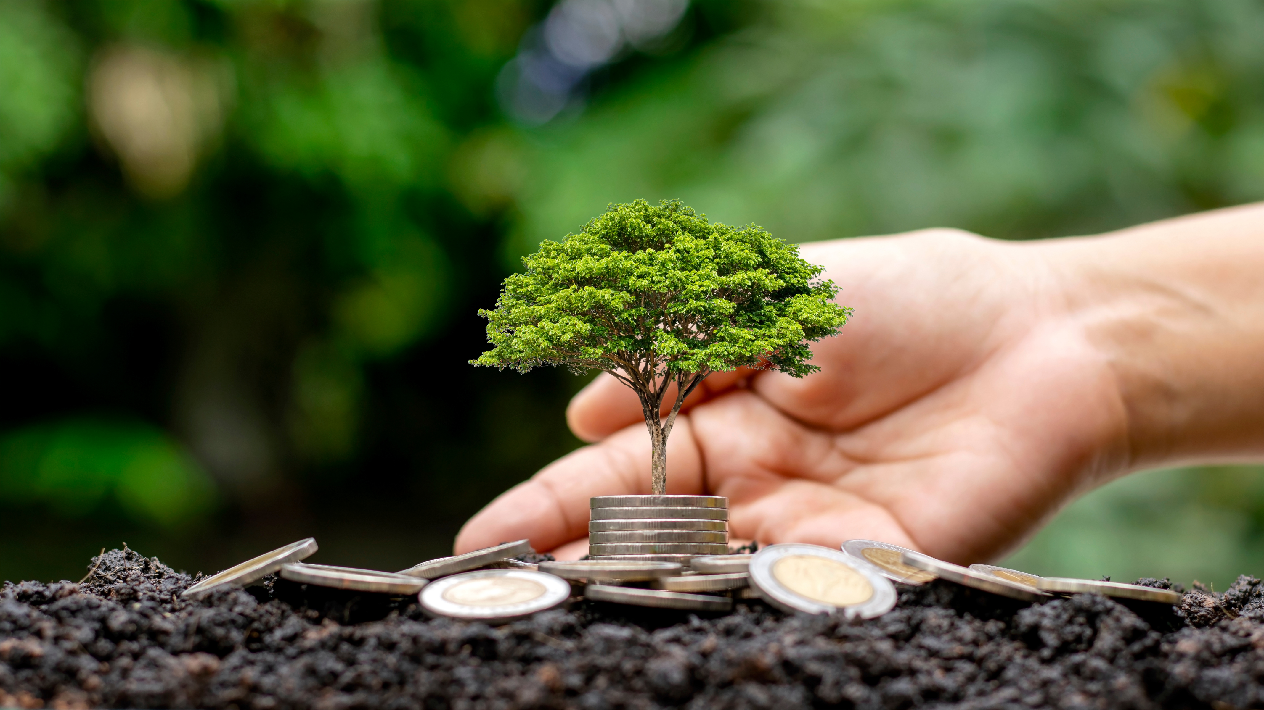 Earning Background